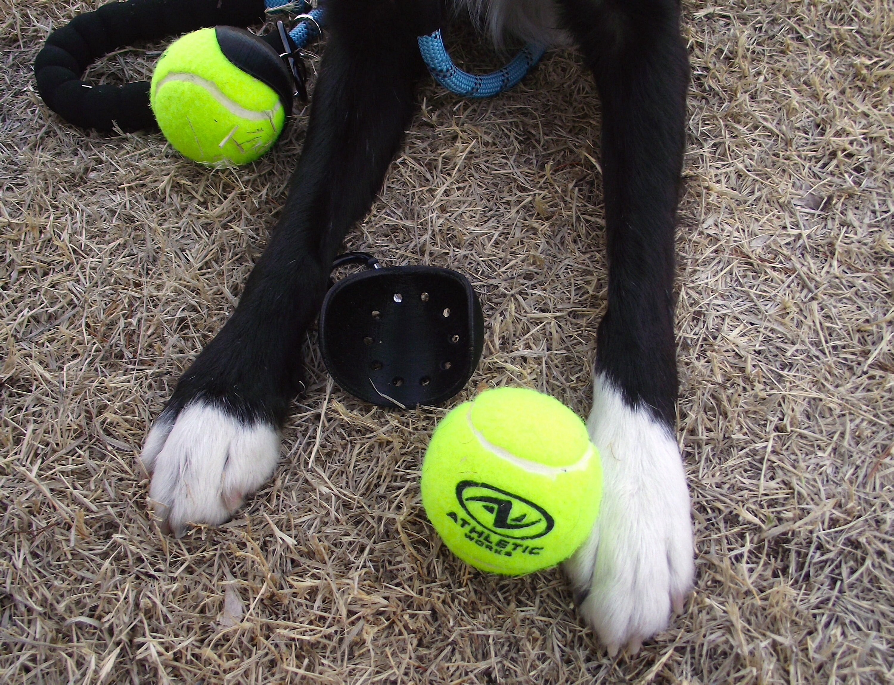 Tennis Ball Holder Dog Accessories Patent Pending Dog Etsy