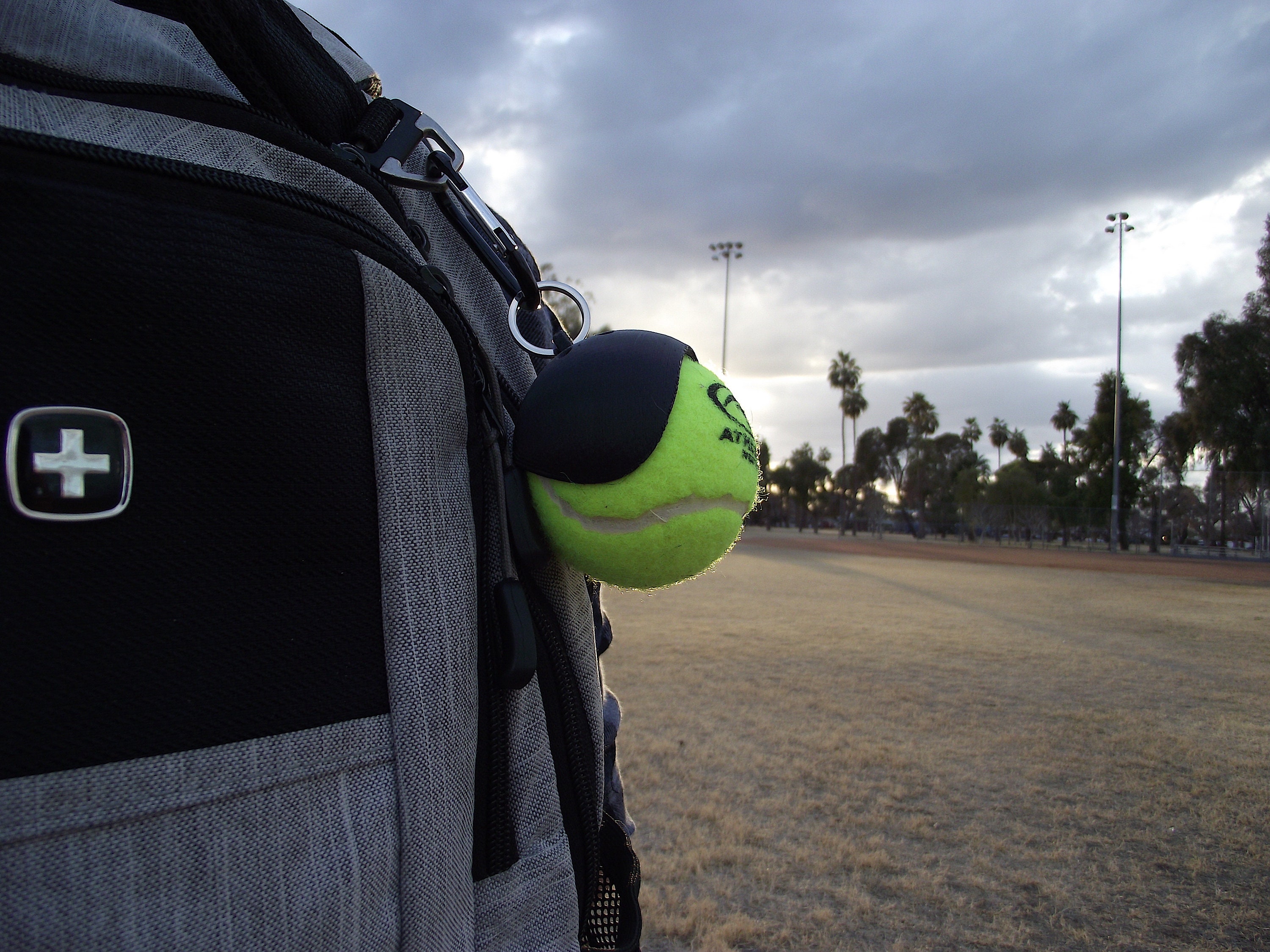 Tennis Ball Holder Dog Accessories Patent Pending Dog Etsy
