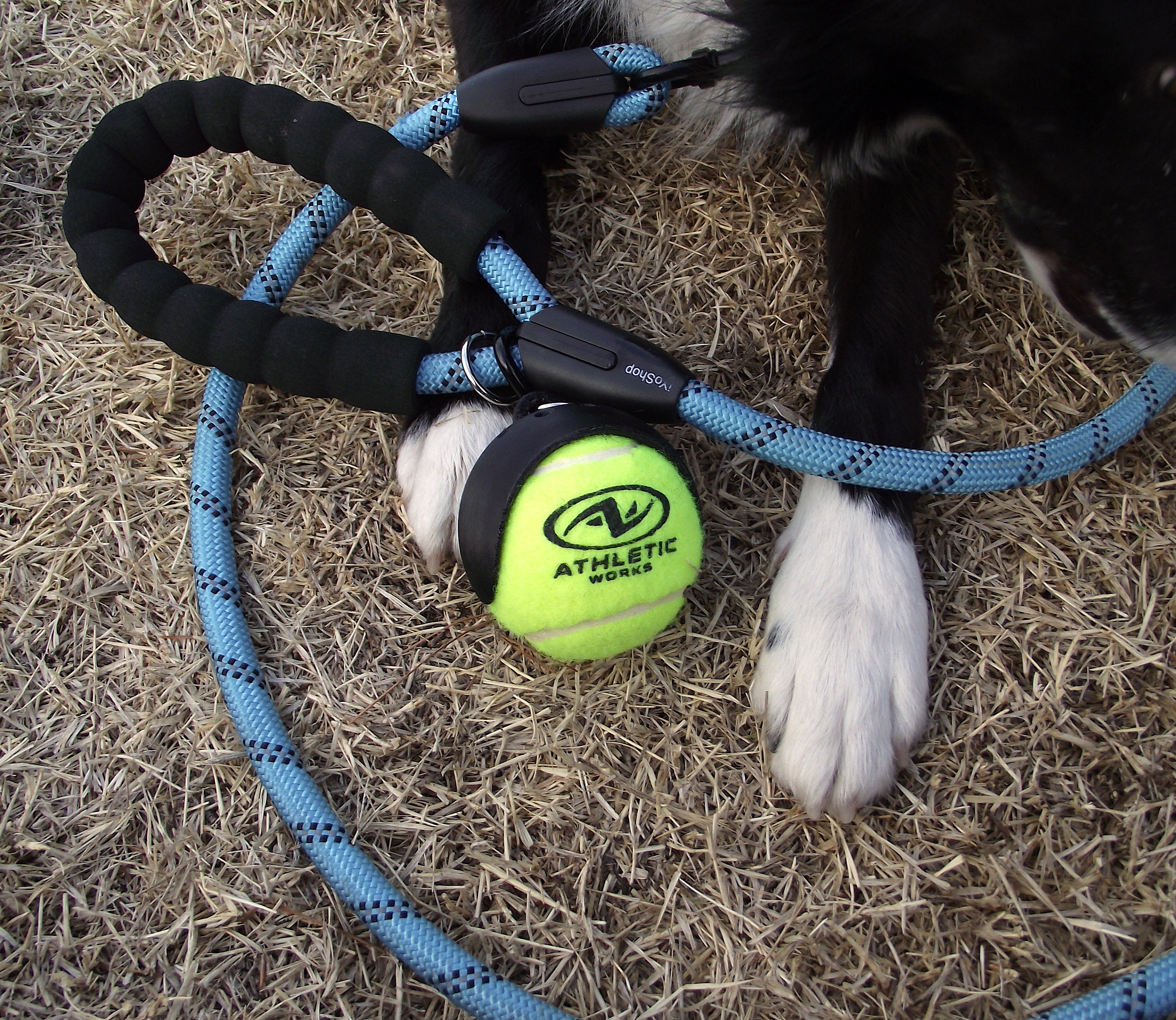 Tennis Ball Holder Dog Accessories Patent Pending Dog Etsy