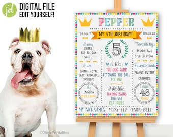 Puede incluir: Un bulldog inglés blanco con una corona dorada y la lengua fuera, junto a un letrero colorido. El letrero dice "Pepper, ¡Mi 5º Cumpleaños!" y enumera los juguetes, golosinas y apodos favoritos. El perro pesa 21,77 kilogramos.