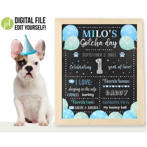 May include: A French Bulldog puppy wearing a party hat sits next to a framed chalkboard sign. The sign reads "MILO'S Gotcha day" and includes details about the dog's first year, such as favorite things and treats.
