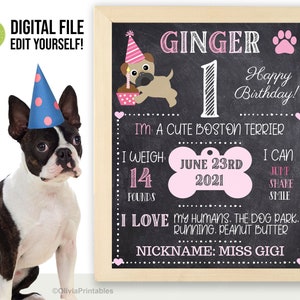 EDITABLE Dog Birthday Sign, Birthday Stats for Puppy Dog, Pet Chalkboard, Dog Milestone Board, Photo Prop Poster, Personalized Sign
