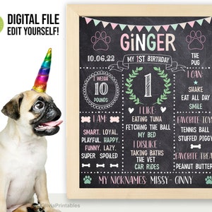 EDITABLE Pet Birthday Chalkboard, Dog Birthday Sign, Dog Printable Sign, Birthday Stats for Puppy, Dog Milestone Board, Party Photo Prop.