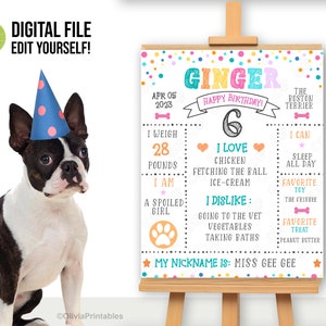 May include: A Boston Terrier wearing a party hat next to a colorful birthday sign. The sign says "Ginger" and lists facts about the dog, including her weight of 28 pounds and favorite things like chicken and peanut butter.