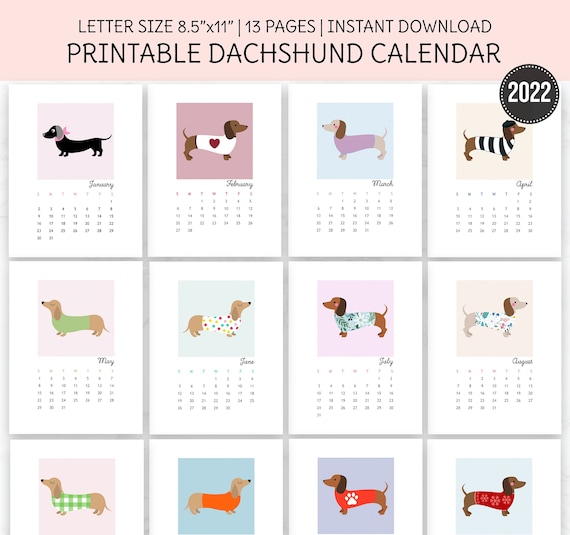 Dachshund Calendar 2022 Dachshund Wall Calendar 2022 Printable Calendar Dachshund | Etsy Singapore