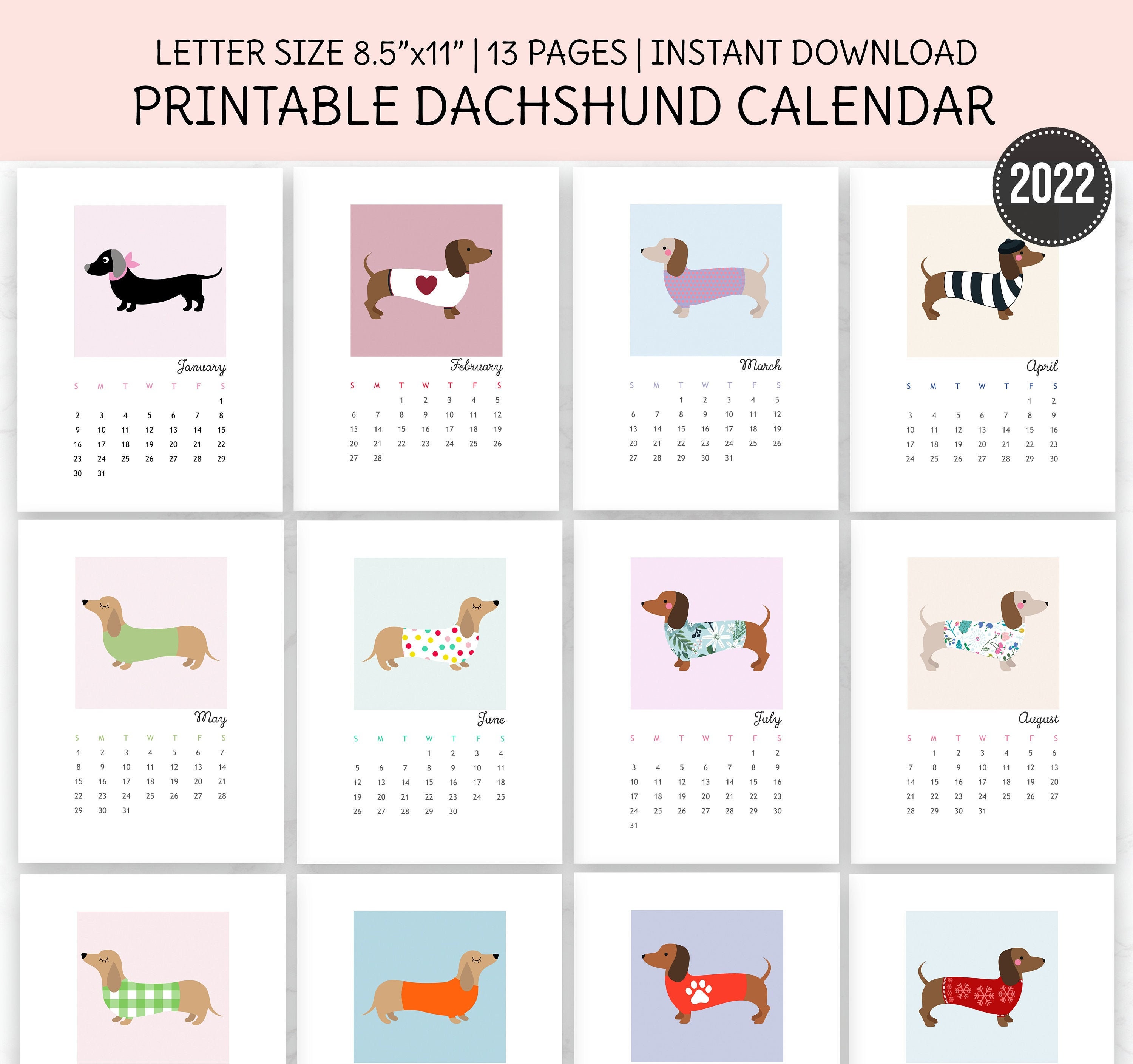 Dachshund Wall Calendar 2022 Printable Calendar Dachshund | Etsy