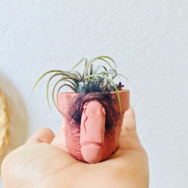 COCKTUS mini pots/miniature pots/tiny pots/penis cactus/penis pot/boob cactus/cactus/terracocktus/valentines/small pots/planters/2021