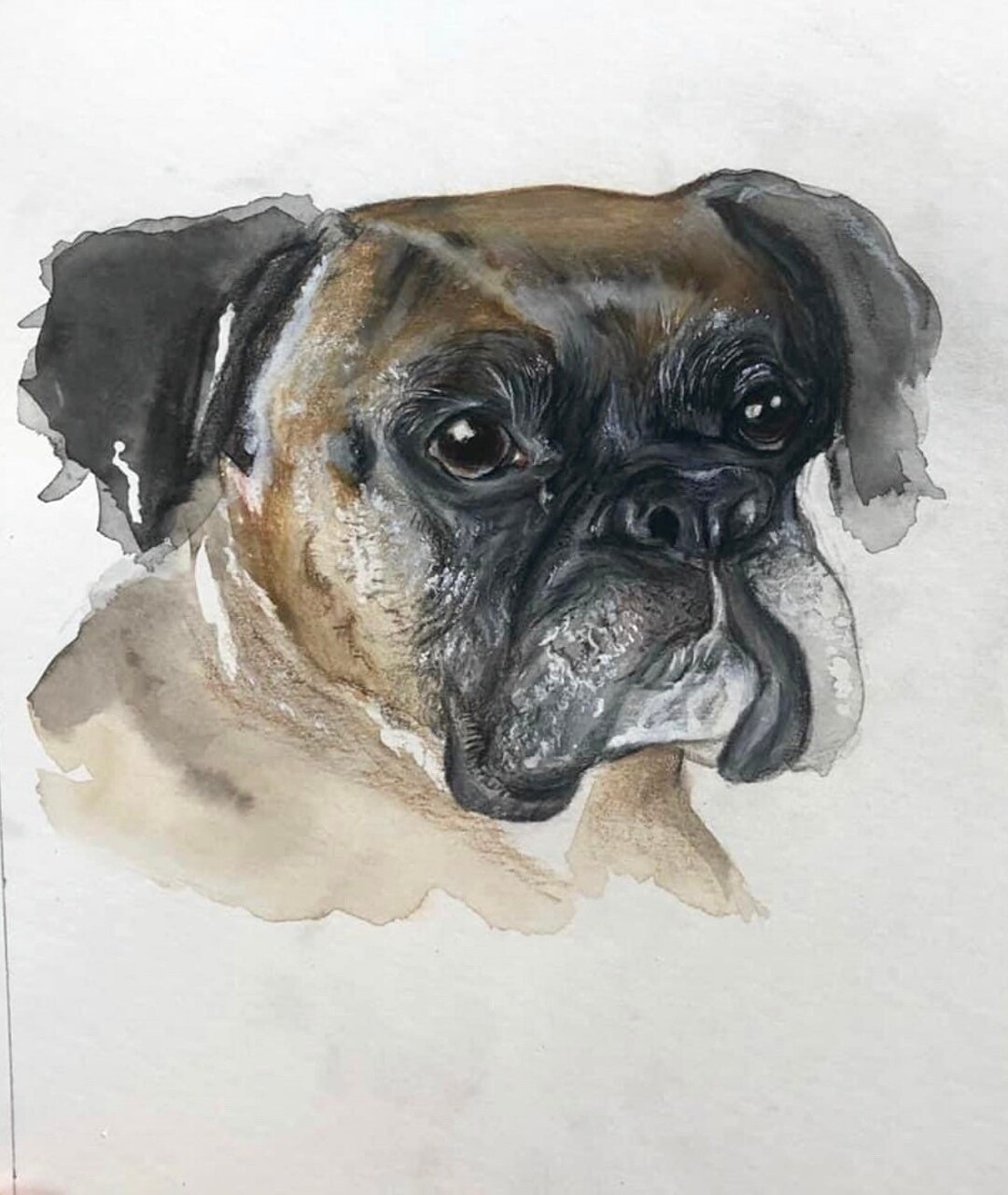 Custom Hand Painted Pet Portrait - Etsy