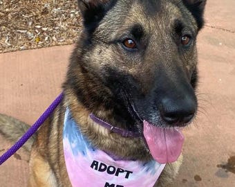 JXGZSO Piece I'm A Foster/Shelter/Rescue Pup Adopt Dog