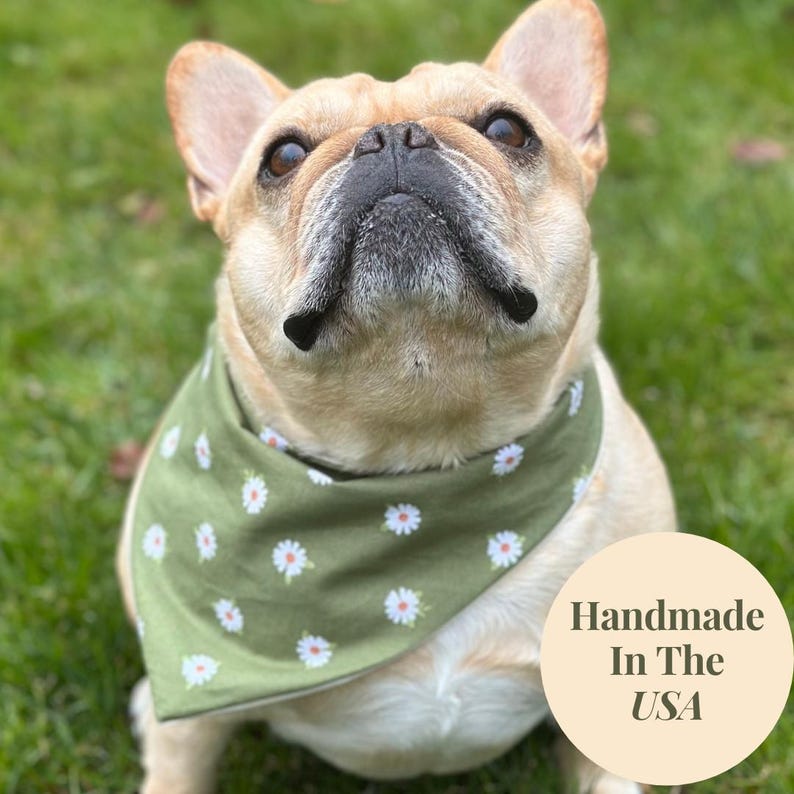 Daisy Dog Bandana Custom Floral Pet Scarf Personalized Puppy Accessory Cottage Core Dog Unique Gift Idea For New Family Pet Photo Shoot