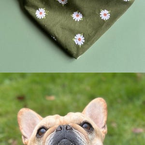 Daisy Dog Bandana Custom Floral Pet Scarf Personalized Puppy Accessory Cottage Core Dog Unique Gift Idea For New Family Pet Photo Shoot