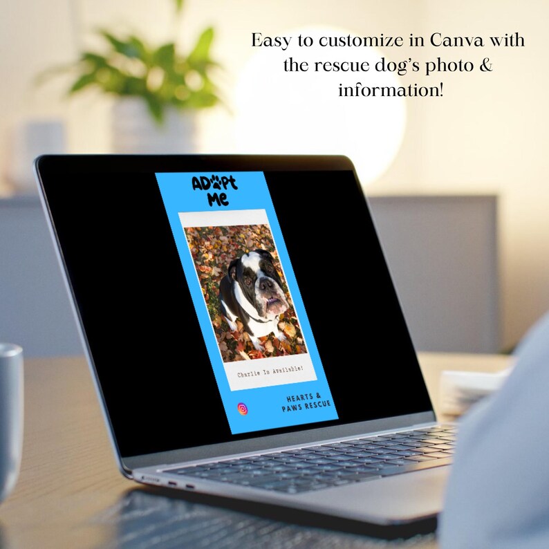 May include: A laptop screen displays a vertical graphic with a photo of a black and white dog. The graphic, framed in blue, says "ADOPT ME" at the top and "HEARTS & PAWS RESCUE" at the bottom. Text above the laptop says "Easy to customize in Canva with the rescue dog's photo & information!"