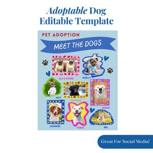Adoptable Dog Editable Template Social Media Pet Adoption Poster Custom Animal Rescue Printable Sign Instant Download PDF DIY Adoption Event