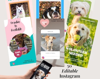 Modelli di storie Instagram per il salvataggio degli animali Kit di social media modificabile Canva per eventi di adozione di animali domestici Raccolta fondi Strumenti di marketing Animali adottabili