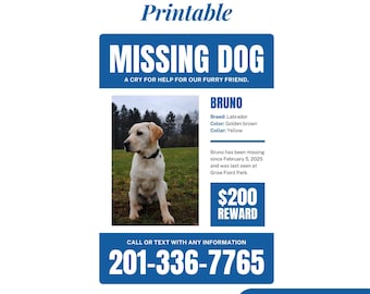 Missing Dog Flyer Editable Template Printable Lost Pet Poster Customizable Lost Dog Sign Instant Download PDF DIY Lost Animal Alert Template