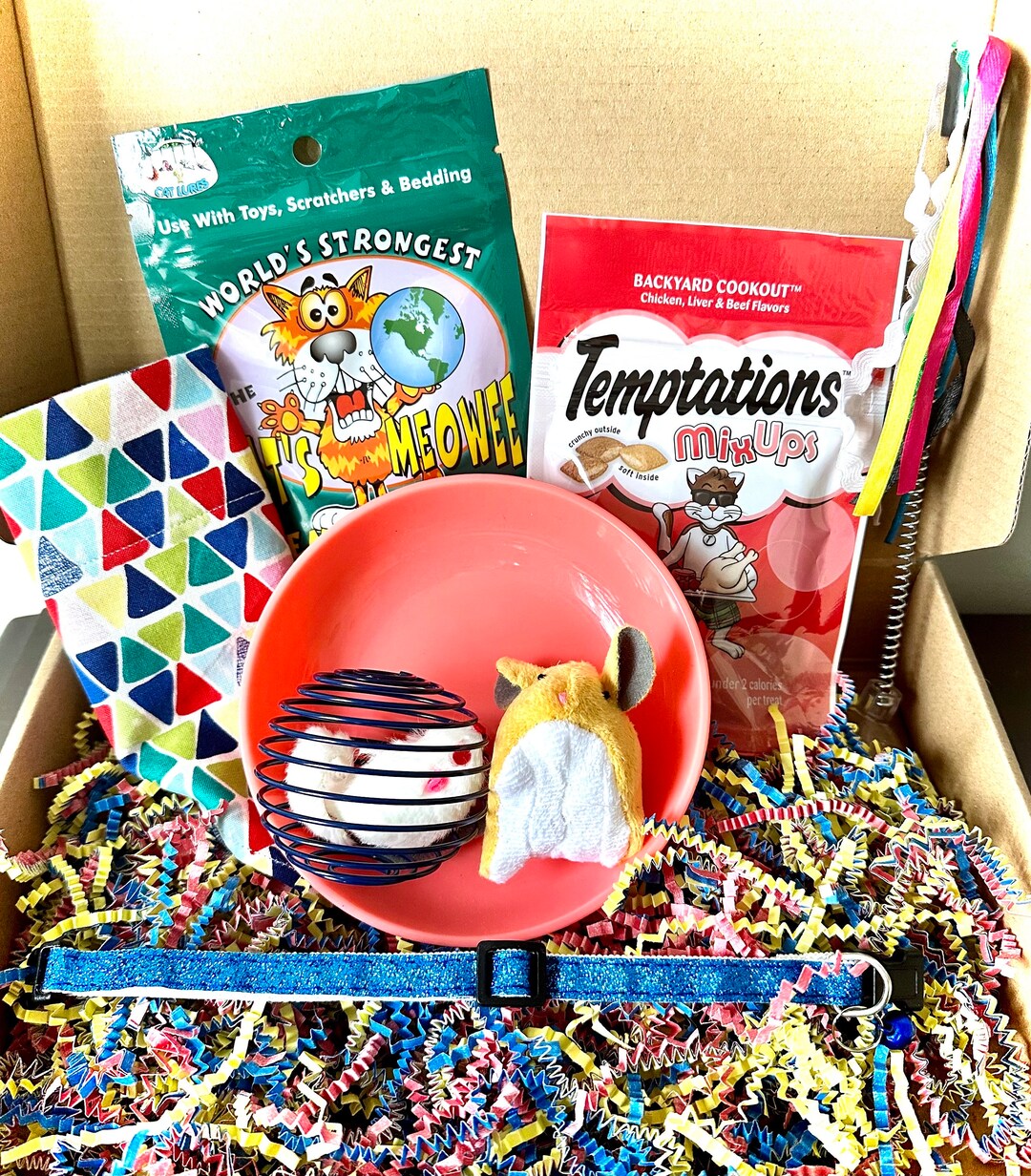 Adoptable Cat Goodie Box Animal Shelter Gift Box Bundle Rescue Pet Care