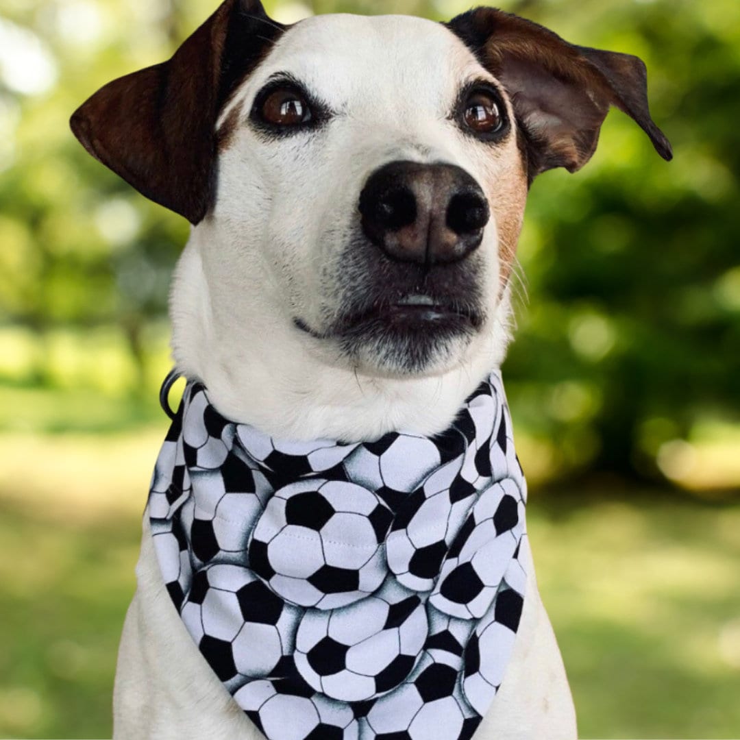 Fc Barcelona Dog Bandana Barcelona Personalised Pet Tank Top FC 25