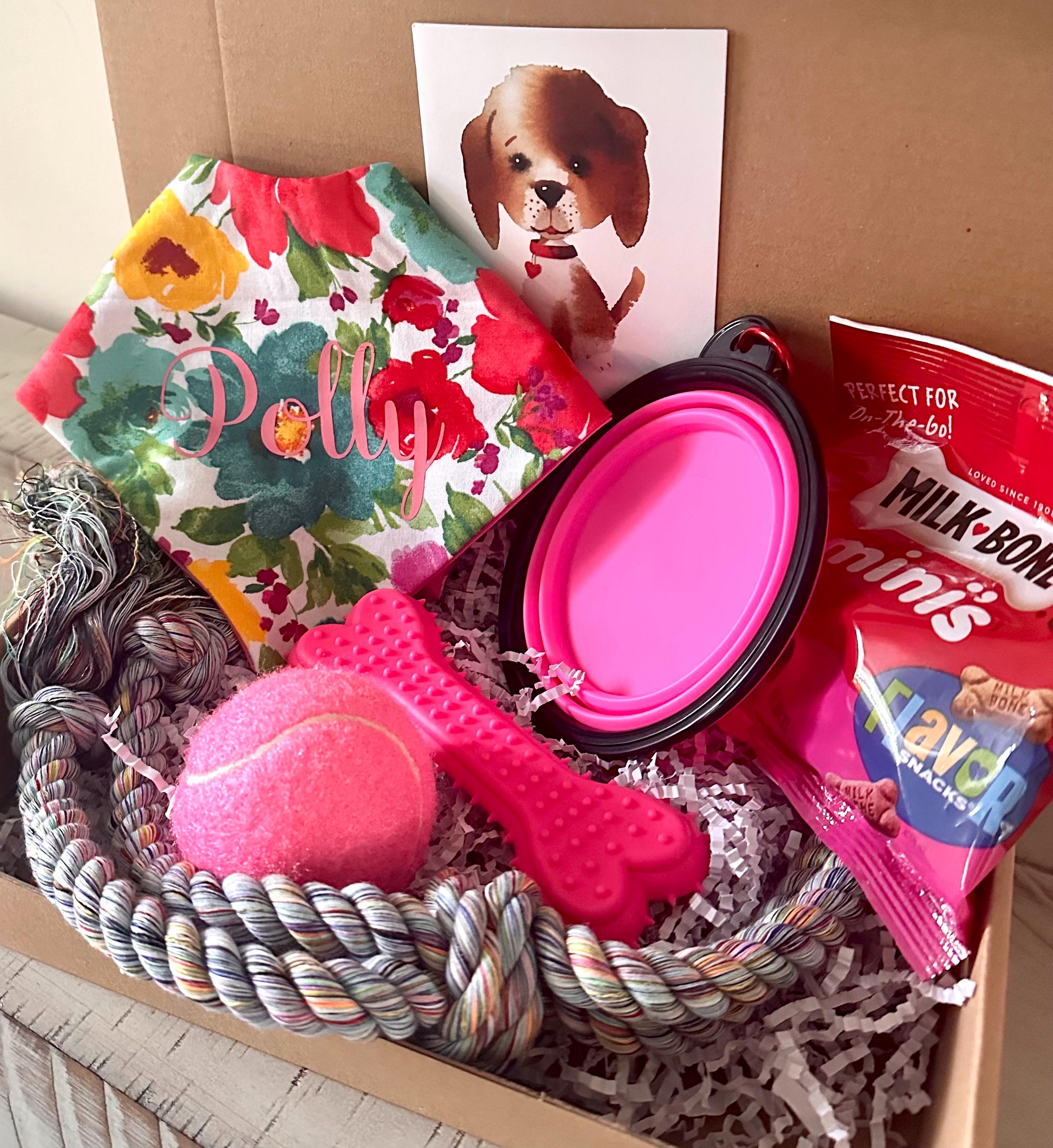 New Puppy Gift Box Family Pet Starter Kit Personalized Care Welcome ...