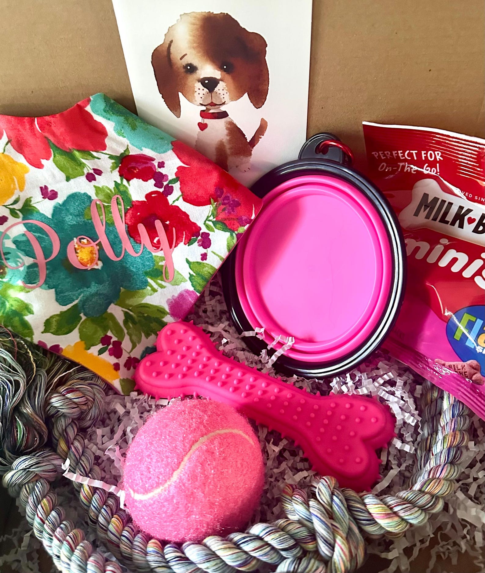 New Puppy Gift Box Family Pet Starter Kit Personalized Care Welcome ...