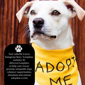 May include: A white dog with brown eyes wearing a yellow bandana that says "ADOPT ME." The dog is the focus of the image, with a wooden background. A black oval graphic with text about Canva Instagram Story Templates is in the lower left.