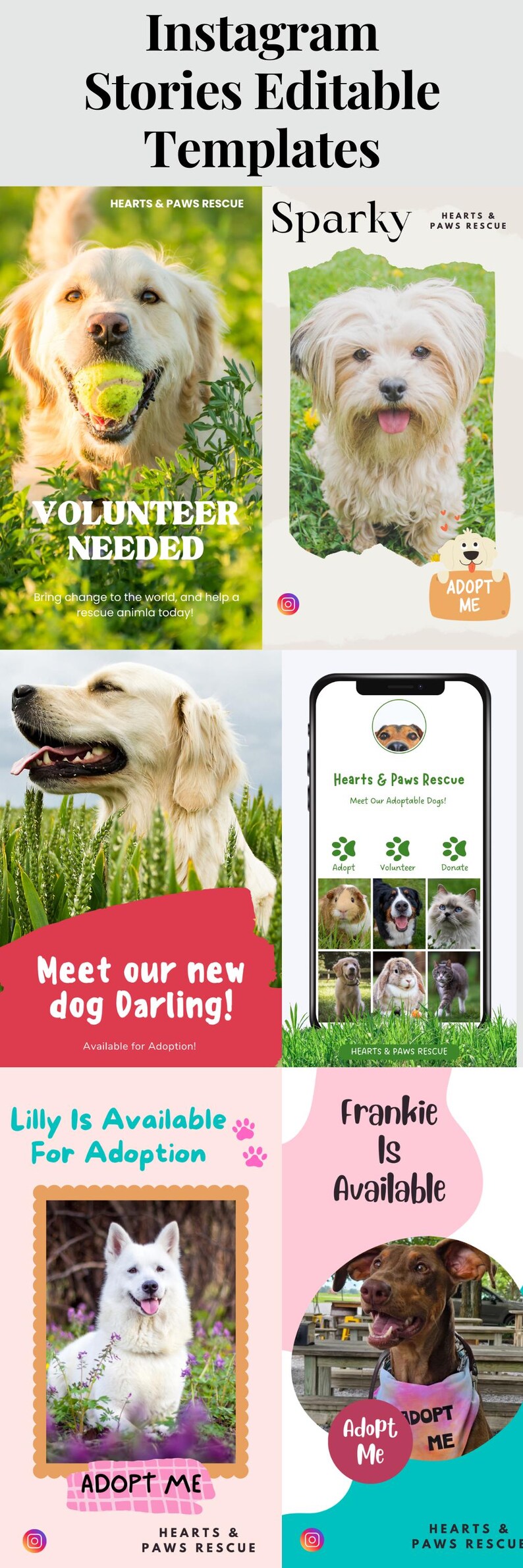 Animal Rescue Instagram Story Templates Canva Editable Social Media Kit for Pet Adoption Events Fundraisers Marketing Tools Adoptable Pets