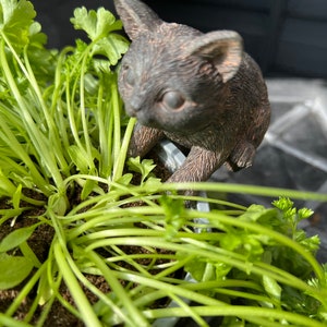 以下が含まれることがあります： 緑のパセリの鉢から顔を出している、小さな灰色のセラミック製の猫の置物