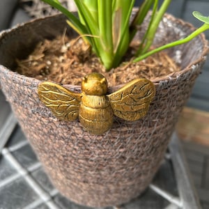 Könnte beinhalten: Eine goldene Bienenfigur mit filigranen Details ist an einem braunen geflochtenen Pflanzentopf befestigt. Der Topf ist mit Erde gefüllt und eine grüne Pflanze wächst daraus.
