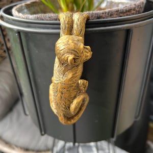 Op de afbeelding: Een gouden aapfiguur dat aan de rand van een zwarte plantenbak hangt. De aap houdt zich vast aan de rand van de plantenbak met zijn handen en voeten.