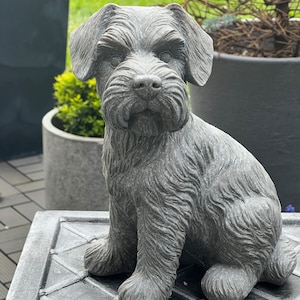 Schnauzer Indoor Outdoor Ornament Garden Decoration image 3