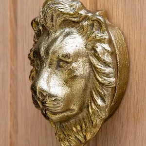 Może przedstawiać: Złoty klamka do drzwi w kształcie głowy lwa z bogatymi detalami. Klamka jest zamontowana na drewnianych drzwiach.