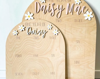 One Year of Baby Photo Board, Daisy Boho Retro First Birthday Photo Arch, Baby 1st Birthday Wood Sign, Daisy Party Decoration