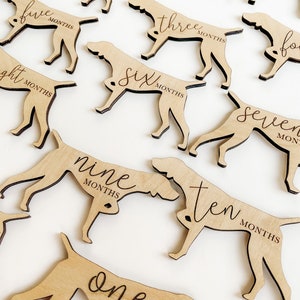 Personalized Dog Theme Nursery Monthly Milestone Plaques | Baby Shower Gift | Custom Dog Breed Newborn Baby Gift for Dog Nursery