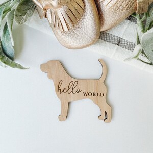 Beagle Nursery Theme | Monthly Milestone Cards | Baby Boy Shower Gift | Custom Newborn Baby Gift for Dog Nursery | Dog Mom Beagle Nursery