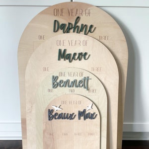 My First Year One Year of Photo Board Wooden Milestone Board 1st Birthday Milestone Board First Birthday Decorations 12 Months Photo Banner