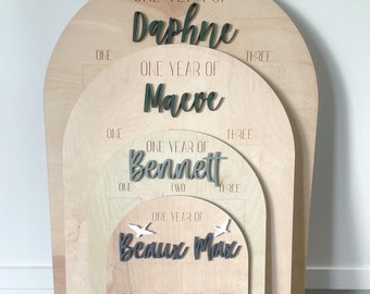 My First Year One Year of Photo Board Wooden Milestone Board 1st Birthday Milestone Board First Birthday Decorations 12 Months Photo Banner