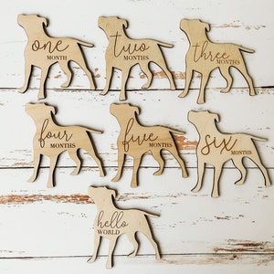 Dog Nursery Pit Bull Monthly Milestone Plaques | Dog Baby Shower Gift | Custom Pit Bull Newborn Baby Gift for Dog Nursery