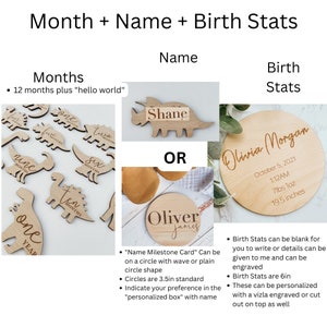 Wooden Monthly Milestone Dinosaur Signs for Baby Photos | Monthly ...