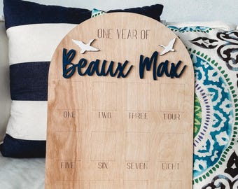 First Year Photo Board | One Year of Photo Board | Milestone Board for First Birthday Party Decor