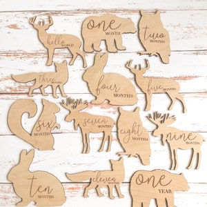 Wooden Monthly Milestone Disc & Woodland Animals for Baby Photos ...