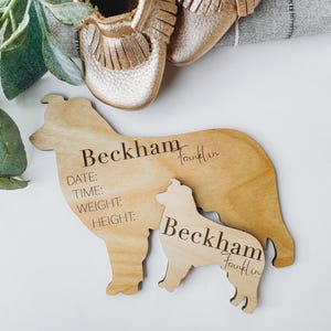 Dog Nursery Aussie Monthly Milestone Plaques | Baby Shower Gift | Custom Aussie Dog Newborn Baby Gift for Dog Nursery