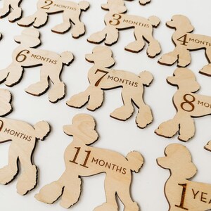 Dog Nursery Poodle Monthly Milestone Plaques, Baby Shower Gift, Custom Poodle Newborn Baby Gift for Dog Nursery, Dog Monthly Milestone Cards