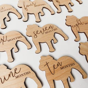 Dog Nursery Bulldog Monthly Milestone Plaques | Baby Shower Gift | Custom Bulldog Newborn Baby Gift for Dog Nursery | Dog Mom Gift