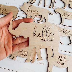 Wooden Monthly Milestone Disc & Safari Animals For Baby Photos | Sarfari Animal Theme | Monthly Milestone Marker  Baby Gift  Milestone Cards