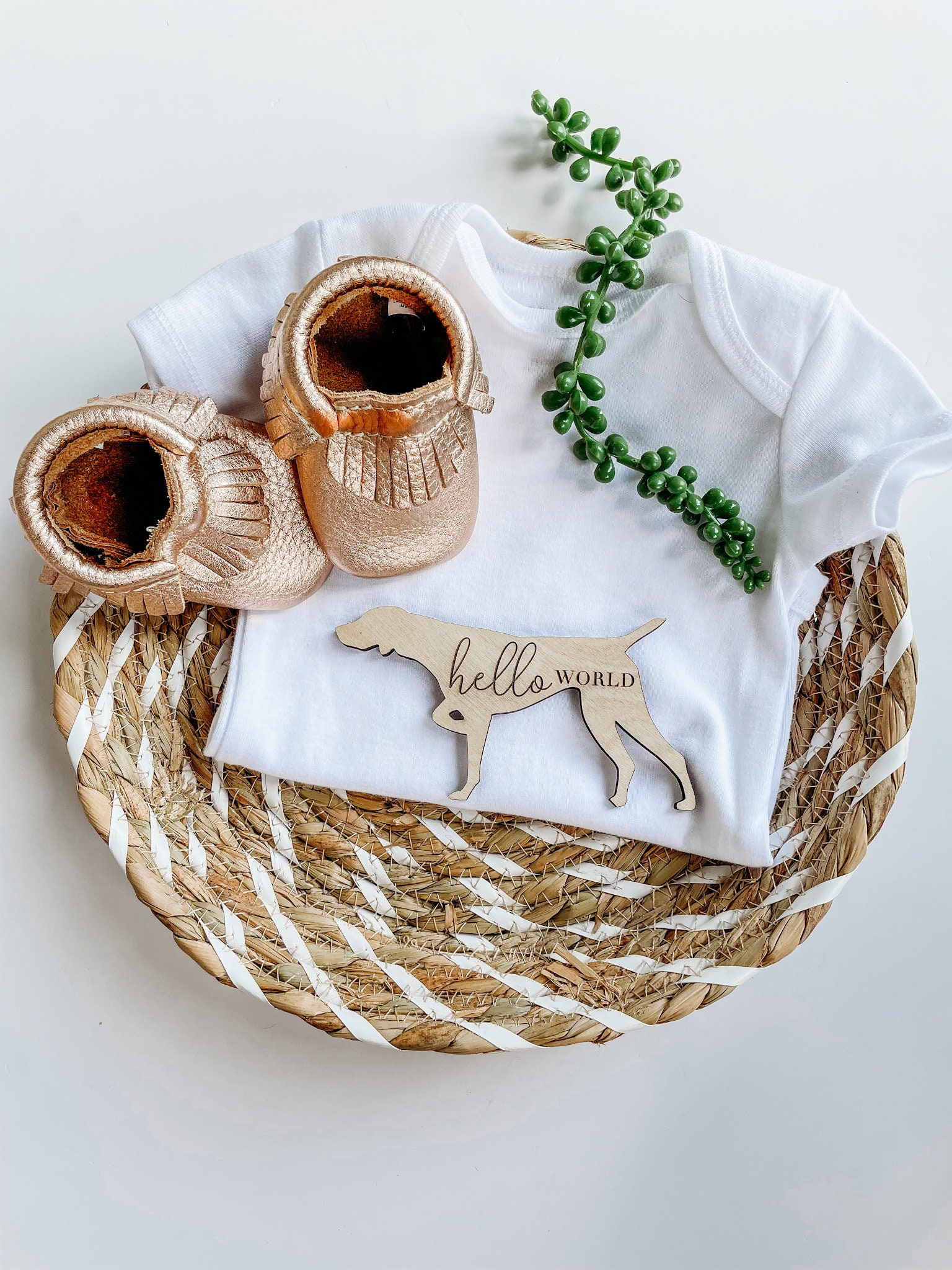 Dog Nursery Vizsla Monthly Milestone Plaques | Baby Shower Gift | Custom Vizsla Newborn Baby Gift for Dog Nursery