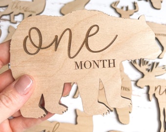 Wooden Monthly Milestone Disc & Woodland Animals For Baby Photos, Woodland Theme Nursery, Monthly Milestone Marker Baby Gift Milestone Cards