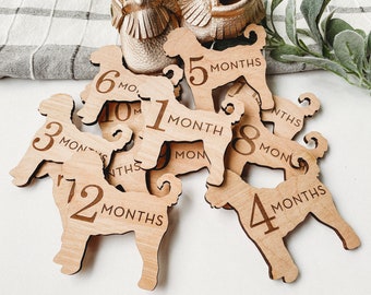 Dog Nursery Goldendoodle Monthly Milestone Plaques | Baby Shower Gift | Custom Goldendoodle Newborn Baby Gift for Dog Nursery | Dog Mom Gift