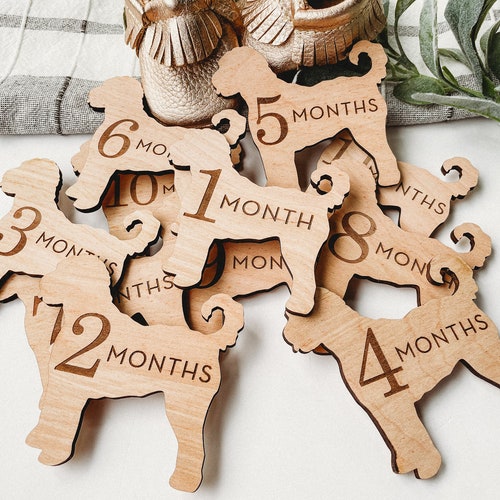 Plaques d'étape mensuelle Goldendoodle pour chambre de chien | Cadeau baby shower | Cadeau de naissance personnalisé Goldendoodle pour chambre de bébé | Cadeau chien maman