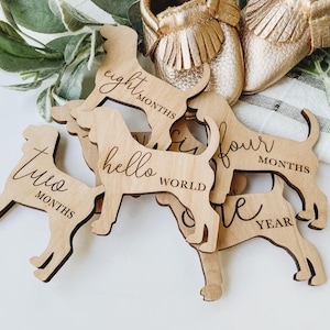 Dog Nursery Beagle Monthly Milestone Plaques | Baby Shower Gift | Custom Beagle Newborn Baby Gift for Dog Nursery | Dog Mom Gift