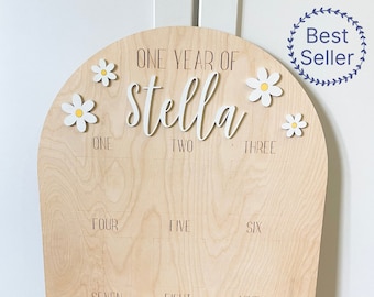 One Year of Baby Photo Board, Daisy Boho Retro First Birthday Photo Arch, Baby 1st Birthday Wood Sign, Daisy Party Decoration