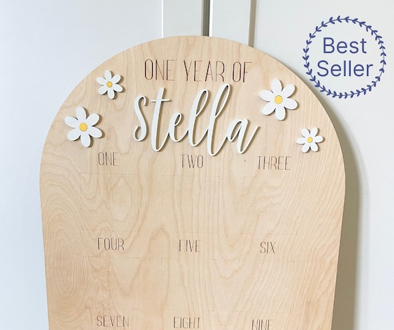 One Year of Baby Photo Board, Daisy Boho Retro First Birthday Photo Arch, Baby 1st Birthday Wood Sign, Daisy Party Decoration
